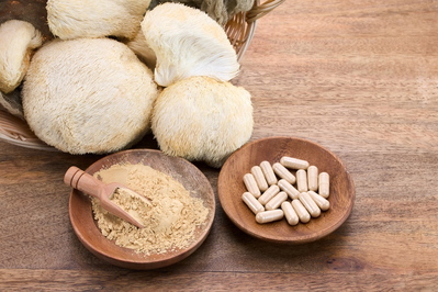 lion's mane mushrooms